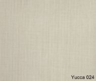 Yucca-024
