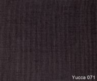 Yucca-071