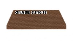 gnasb 314013